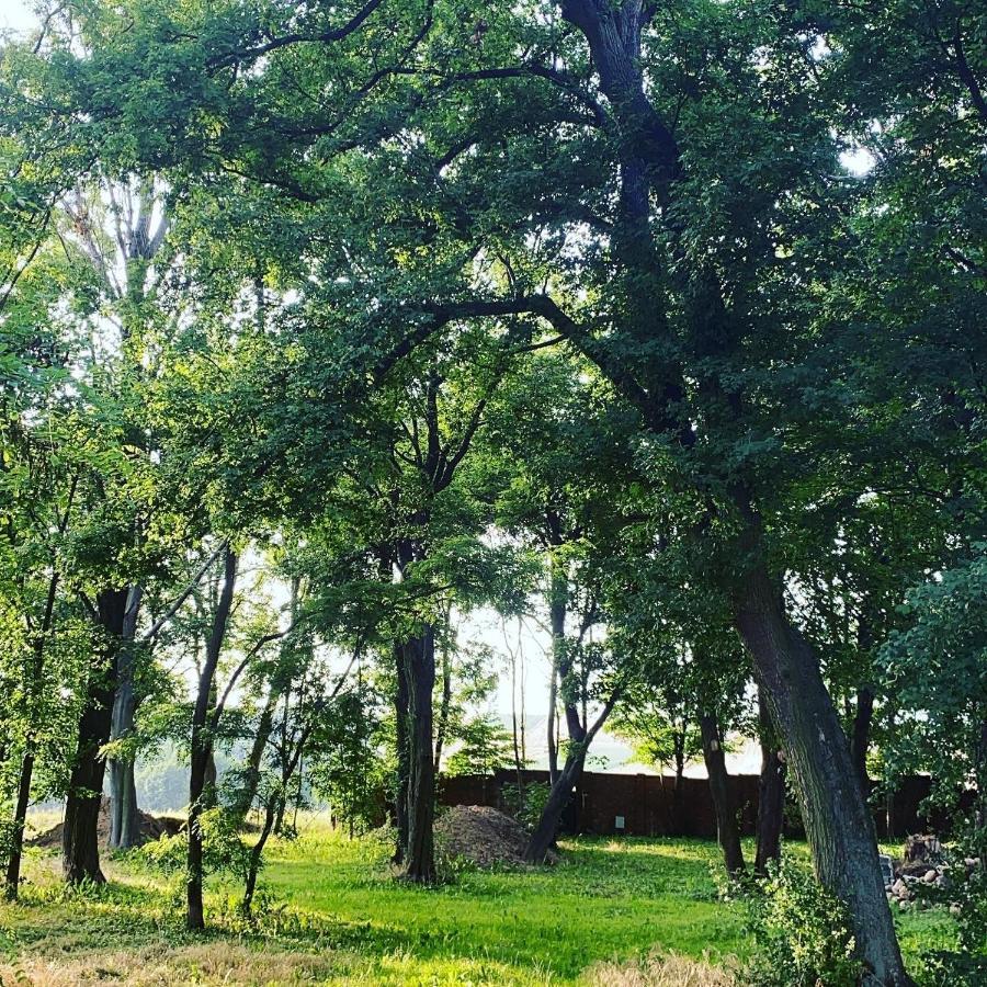 Palac Osowo Gostynskie Екстериор снимка